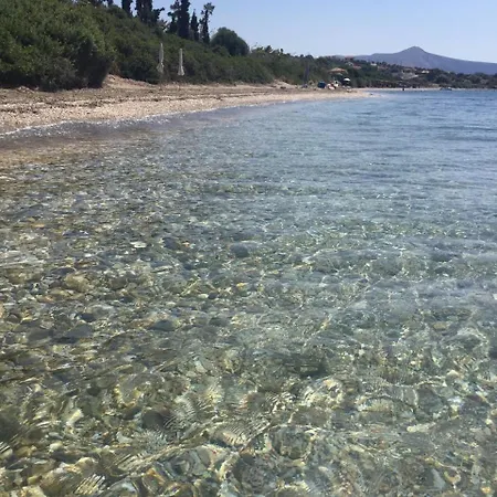 Seaside With Private Football Pitch Tatil Evi *